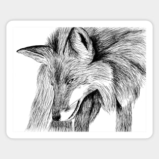 Hand drawn fox Sticker